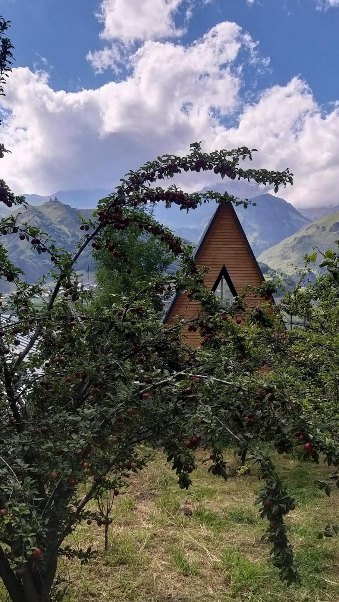 Ferienwohnung Emotion Kazbegi Exterior foto